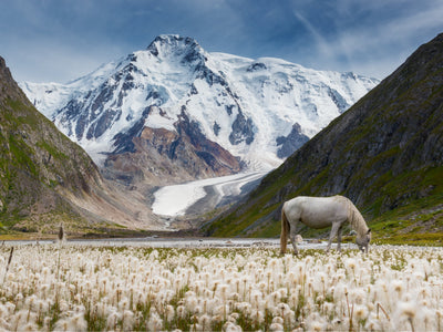 Tableau photo déco d'un paysage naturel dans les hautes montagnes