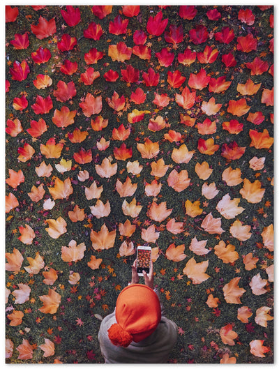 Tableau photo d'art en plexiglas montrant un dégradé de feuilles aux couleurs d'automne