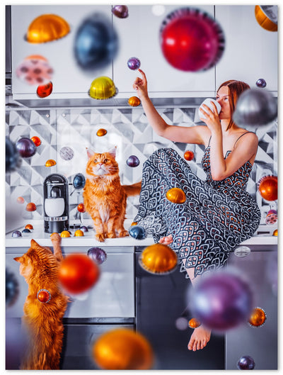 Tableau photo d'art en plexiglas montrant deux chats et des dosettes à café virvoltant en l'air